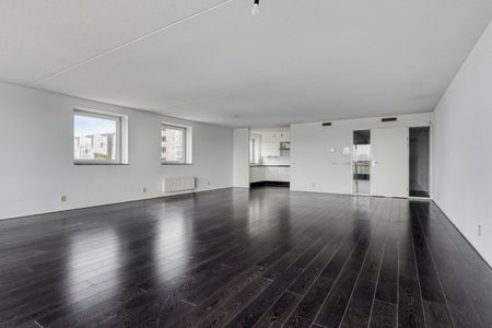Te huur: Appartement Amstelboulevard 24 in Amsterdam - Foto 3
