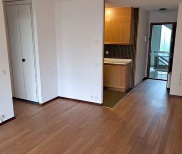 Nice 2.5 room apartment in Rolle - Foto 4