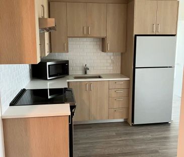 Lunen Haus — N, 216N-616N,709N-1609N - Photo 6