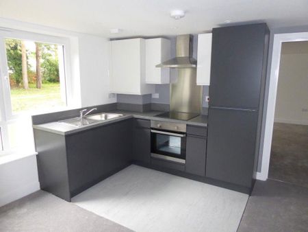 1 bedroom flat to rent - Photo 4