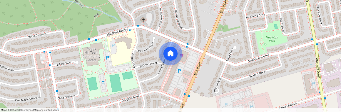 25 Srigley (Entire House) Street, Barrie