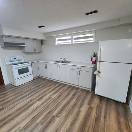 Spacious Basement Suite in Abbotsford - Photo 3