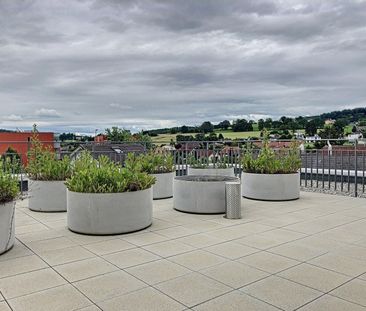 SUPERBE LOGEMENT A LOUER - Foto 6