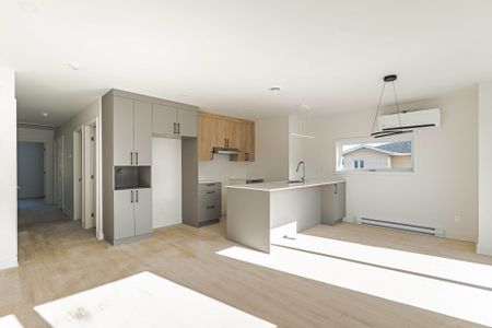 Appartement - 04-2589 Rue De Lorimier - Photo 5