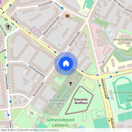 Paul-Schneider-Straße 42, 12247, Berlin