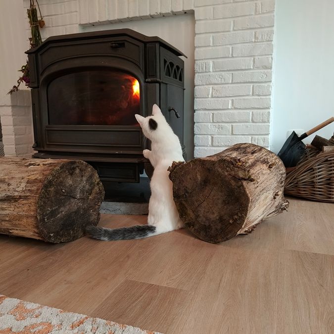 kleine gerenoveerde hoeve in de natuur, 2 kamers ( 1 pers) - Photo 1