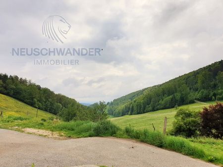 In the heart of the countryside 1.5-room studio on 35 m2 - Foto 4