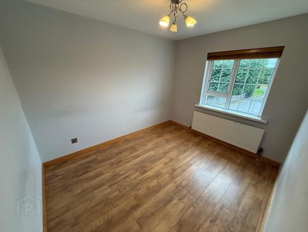 41 Lurganare Cross, Lurganare, BT34 1SR - Photo 5