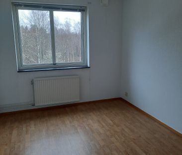 Björkvägen, Kosta - Photo 5