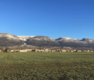 Ab 1.12 - Herzige 2.5 Zi Dachwohnung mit hübschem Ausblick - Photo 5