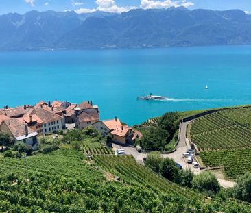 appart meublé 3,5 pièces Rivaz (Lavaux) Novembre à février - Photo 4