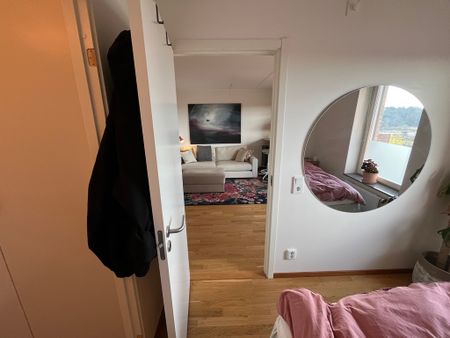 Nätsnäcksgränd, Limhamn - Photo 3
