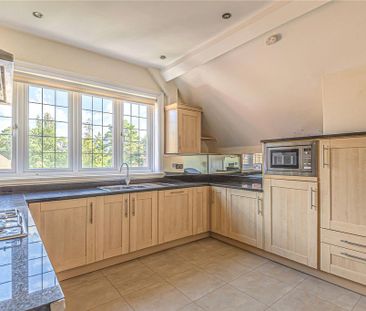 3 bedroom penthouse to rent - Photo 5