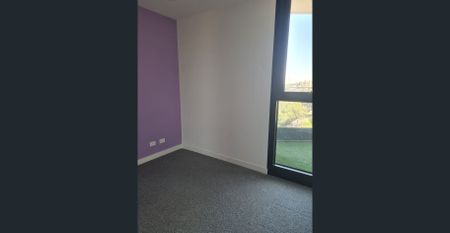 Spacious 2 bedroom apartment with amazing sunset views - Photo 5