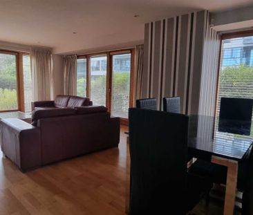 113 Milltown Hall, Dublin 6, County Dublin - Photo 1