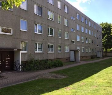 Wohnglück - günstige 3-Zimmer-Wohnung in grüner Wohnlage - Foto 3