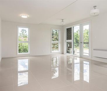 495 Av. Delmar - Photo 2