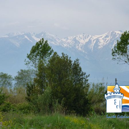 Location Appartement 2 pièces 37m² ST CYPRIEN 66750 - Photo 4