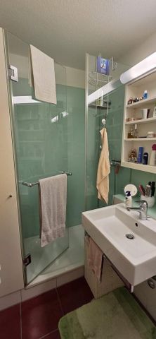 Sonnige und neu gestrichene Wohnung in Zürich Kreis 10 - Photo 5