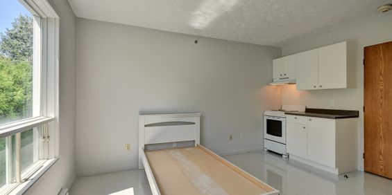 Studio 1 1/2 Sherbrooke - Photo 3