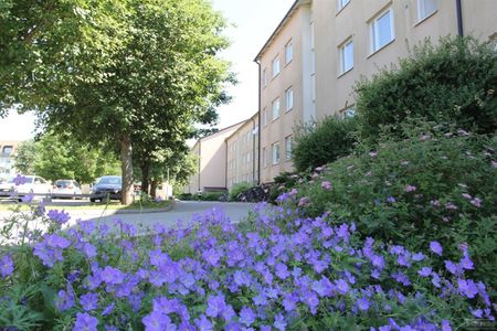 Snevringevägen 53 B - Foto 5