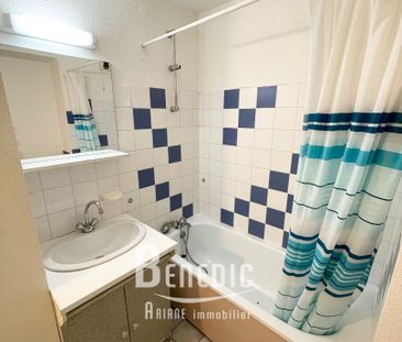 Location Appartement 1 pièce 18m² - Photo 4