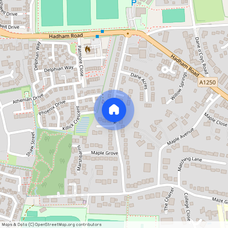 Dane Park, CM23, Bishops Stortford