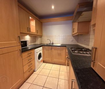 17 Ashley Courtyard, Belfast, BT9 7JS - Photo 6