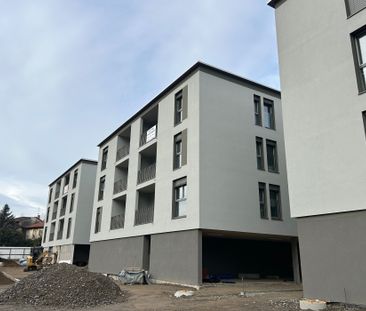 STABIO – 3.5 LOCALI NUOVA RESIDENZA CON PARCO - Photo 4