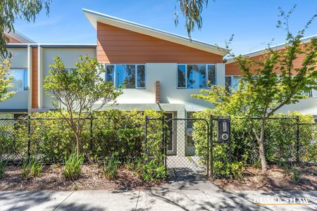 14 Paget Street, Bruce ACT 2617 - House For Rent | Domain - Photo 4