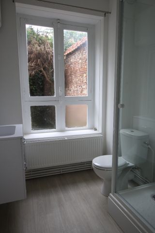 Location Appartement 1 pièce 17m² LILLE 59800 - Photo 4