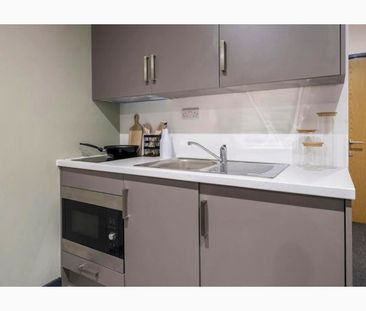 Bronze Studio / Bronze Plus Studio - Photo 6