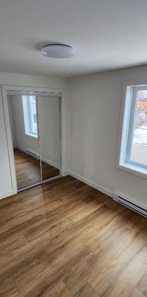 5 1/2 à Laval, rénové avec cours - Photo 1