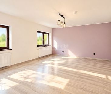 Copou - Sararie, spatii pentru birouri amenajate integral, cladire P+E - Photo 6