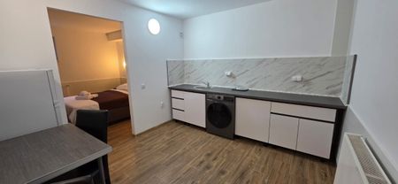 Apartment for rent in Zorilor, Cluj-Napoca, at 3 minutes’ walk from the University of Medicine and Pharmacy, Marinescu street, with bedroom and kitchen - Photo 3