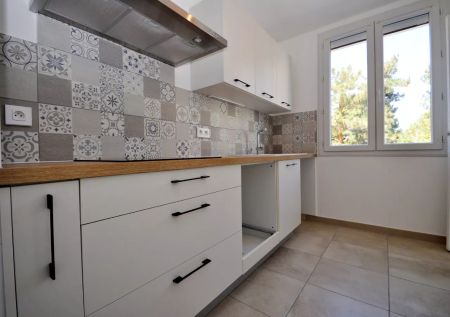 T3 LUMINEUX AVEC GARAGE - Photo 4