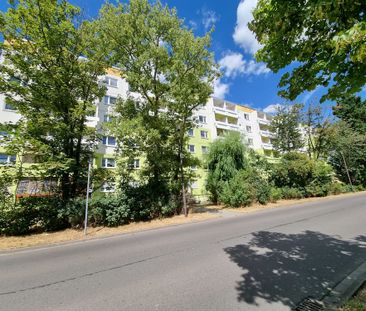 Ernst-Hermann-Meyer-Straße 7 - Foto 3