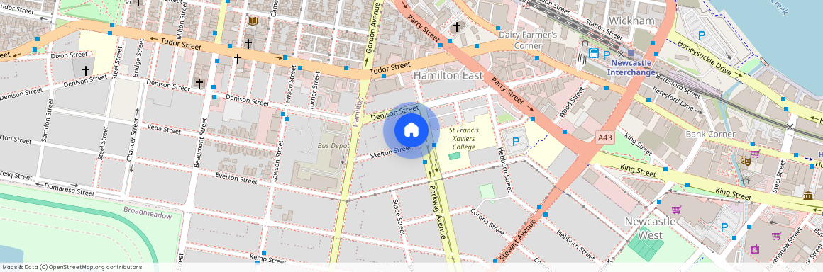 36 Skelton Street, Hamilton East, NSW 2303