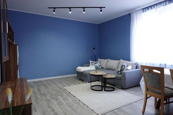 Mieszkanie, Zielona Góra, 2 pokoje - Zdjęcie 1