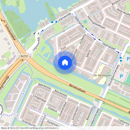 Ringslang, 107, Noord-Holland, Amstelveen, 1187 BT