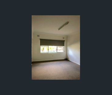 Two bedroom unit walking distance to the main CBD & West Tamworth S... - Photo 5