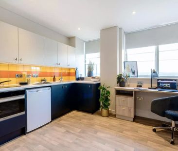 Platinum Executive Studio - Photo 6