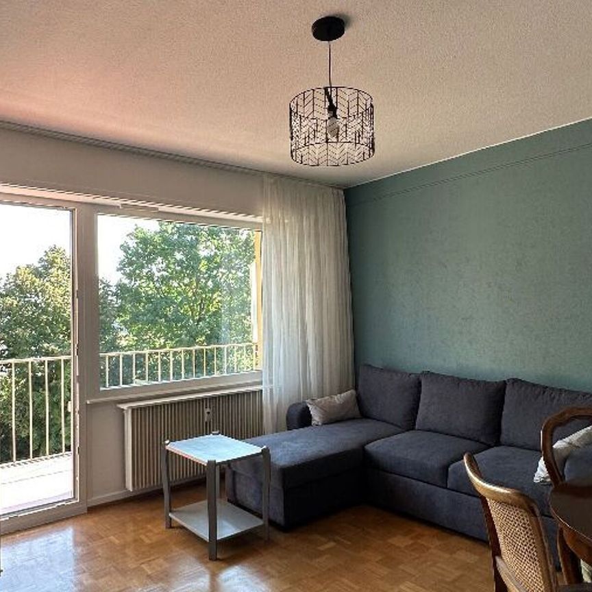 Appartement à louer 2 pièces • Saverne - Photo 1