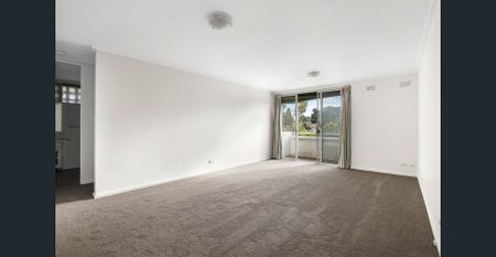 Spacious and Sun Filled 3 Bdr Apartment - Photo 3