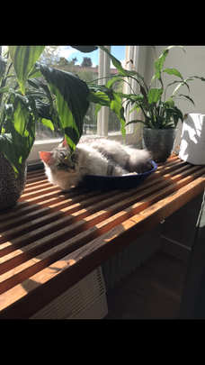 Vikstensvägen, Johanneshov - Foto 1