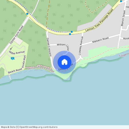 25 Gibbers Drive, NSW 2319, Lemon Tree Passage