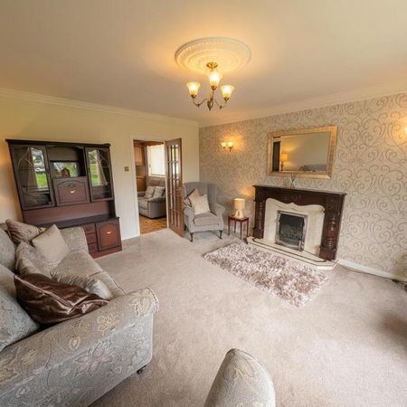 87 Ballylone Road, Saintfield, BT24 8XX - Photo 4