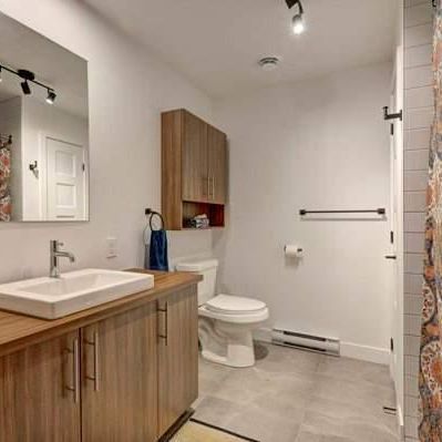 1 CH - 1 SDB - Longueuil - $1,495 /mo - Photo 1