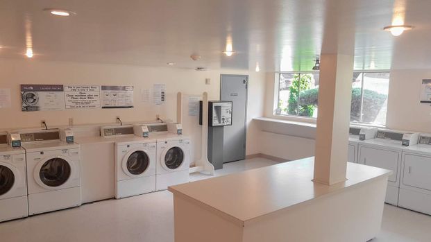 Wedgewood Terrace - Photo 1