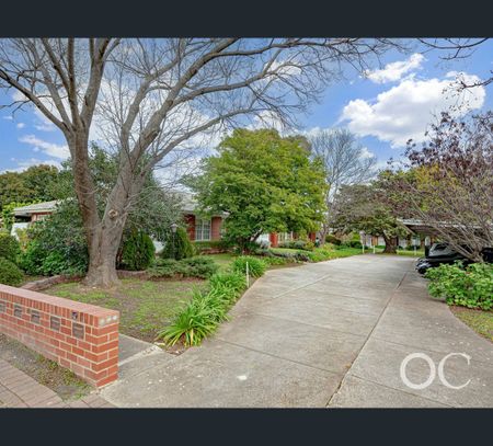 5/117 Allinga Avenue, Glenunga, SA 5064 - Photo 3